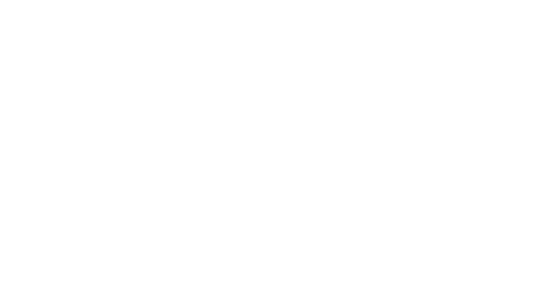 Neurochip